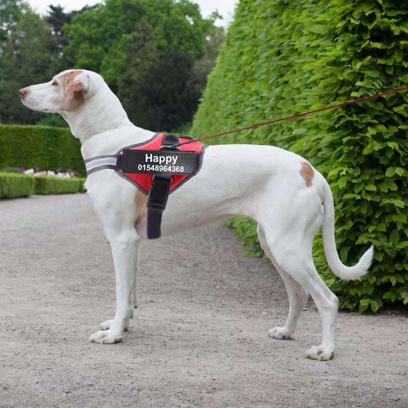 Custom Reflective Pet Harness - The Mercantiles