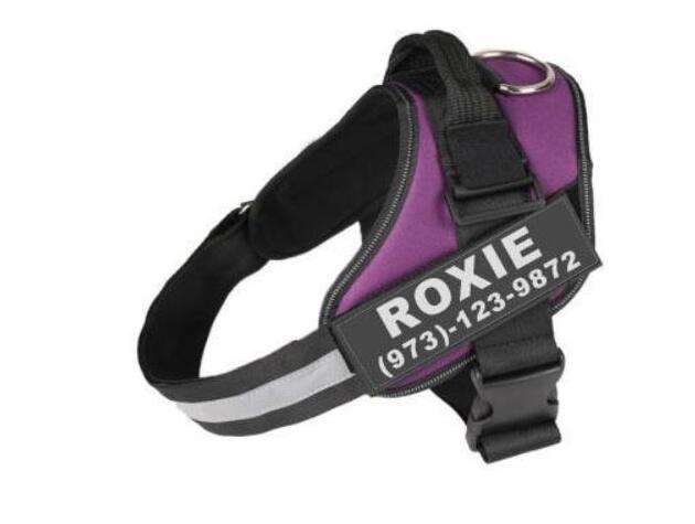 Custom Reflective Pet Harness - The Mercantiles
