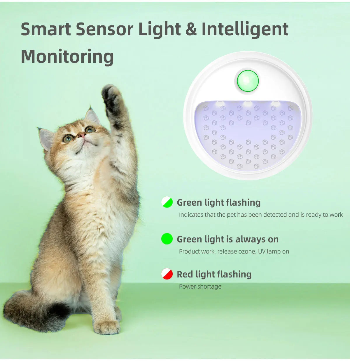 4000mAh Cat Litter Deodorizer Odor Eliminator Dust-Fall Air Purifer for Cat Litter Box Bathroom Wardrobe Kitchen and Small Area